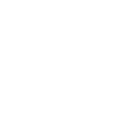 American Board of Endodontics